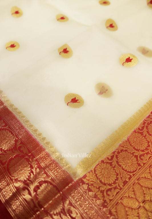 Off White Red Designer Katan Banarasi Tissue Saree