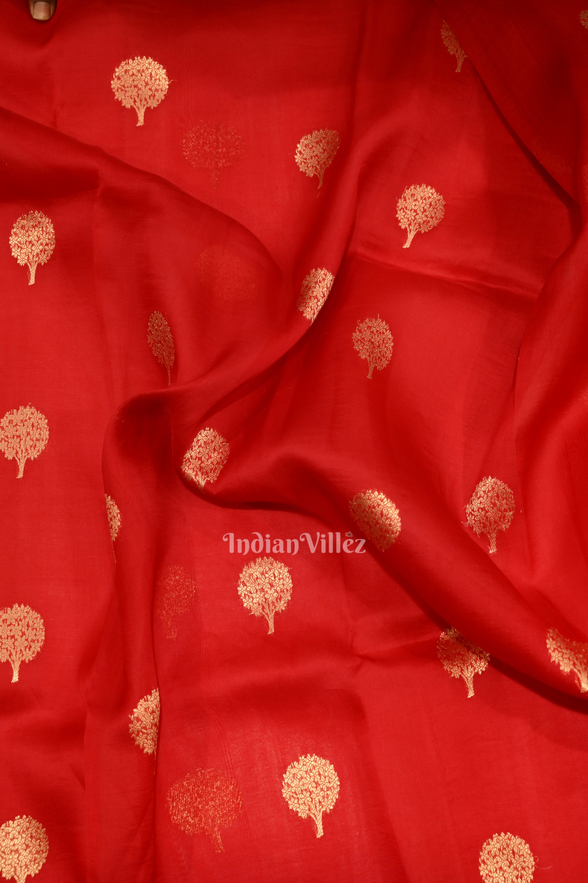 Pure Red Kora Banarasi Tissue Saree With Floral Handwork