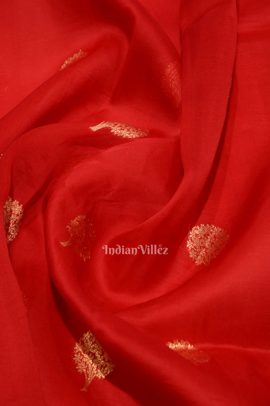 Pure Red Kora Banarasi Tissue Saree With Floral Handwork