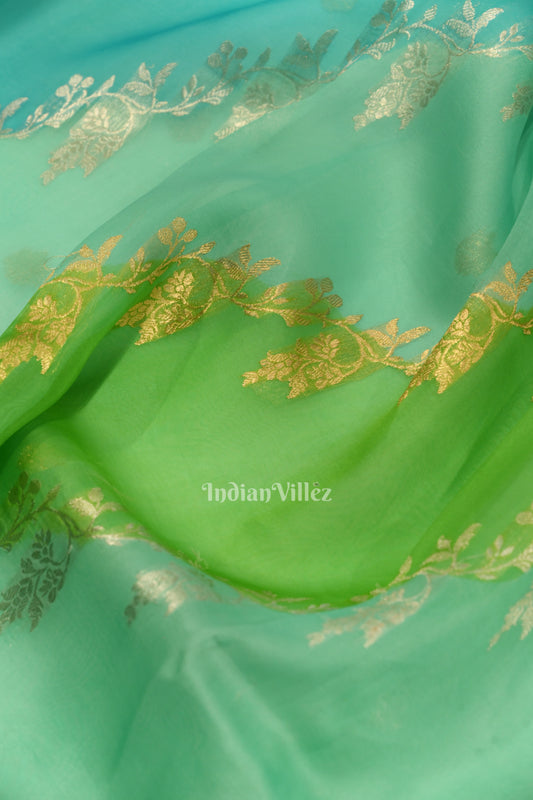 Surf Blue with Green Kora Organza Banarasi Saree